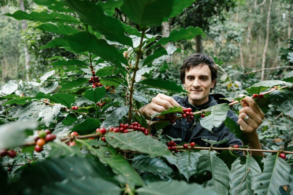 Sustainable Coffee Practices: Brew a Better Future with Every Cup